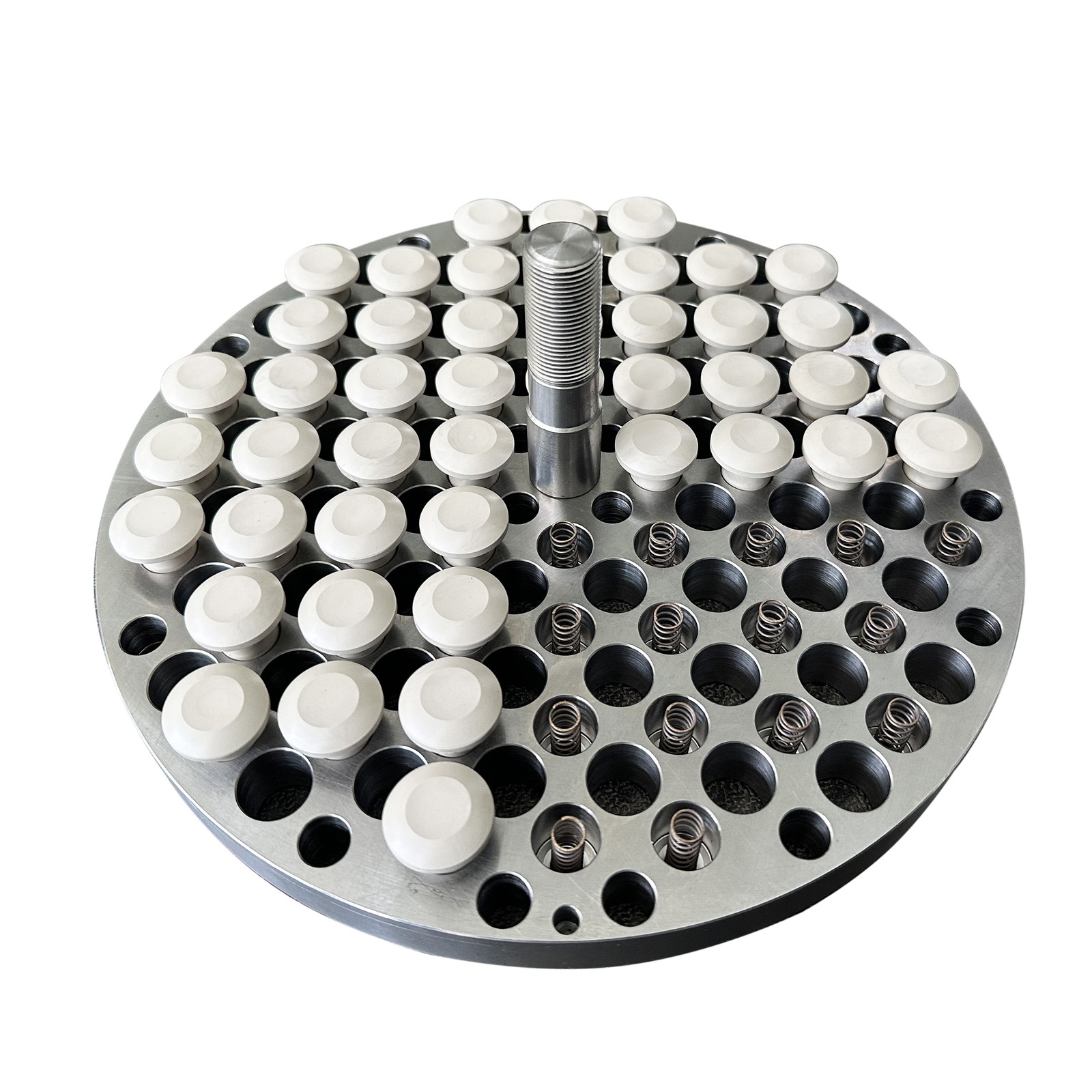 Poppet compressor valve assembly with valve elements and springs on a white background